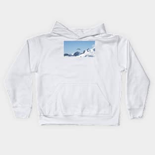 South polar skua over the Neumayer Channel, Antarctica Kids Hoodie